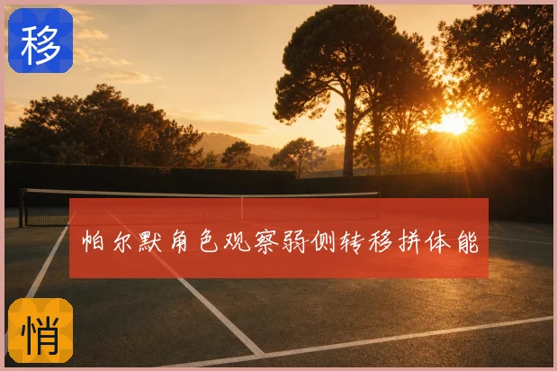 帕尔默角色观察弱侧转移拼体能