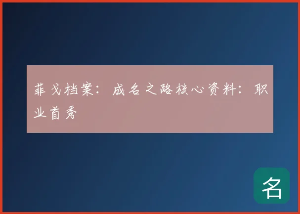 菲戈档案:成名之路核心资料:职业首秀